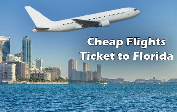 Cheap Flights Ticket To Florida 